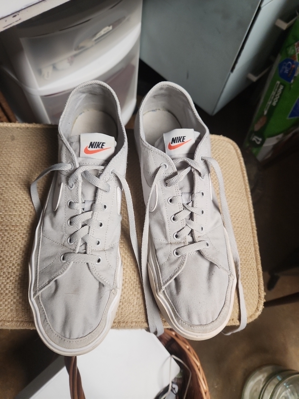 Nike Men’s Light Gray Canvas Low-Top Sneakers